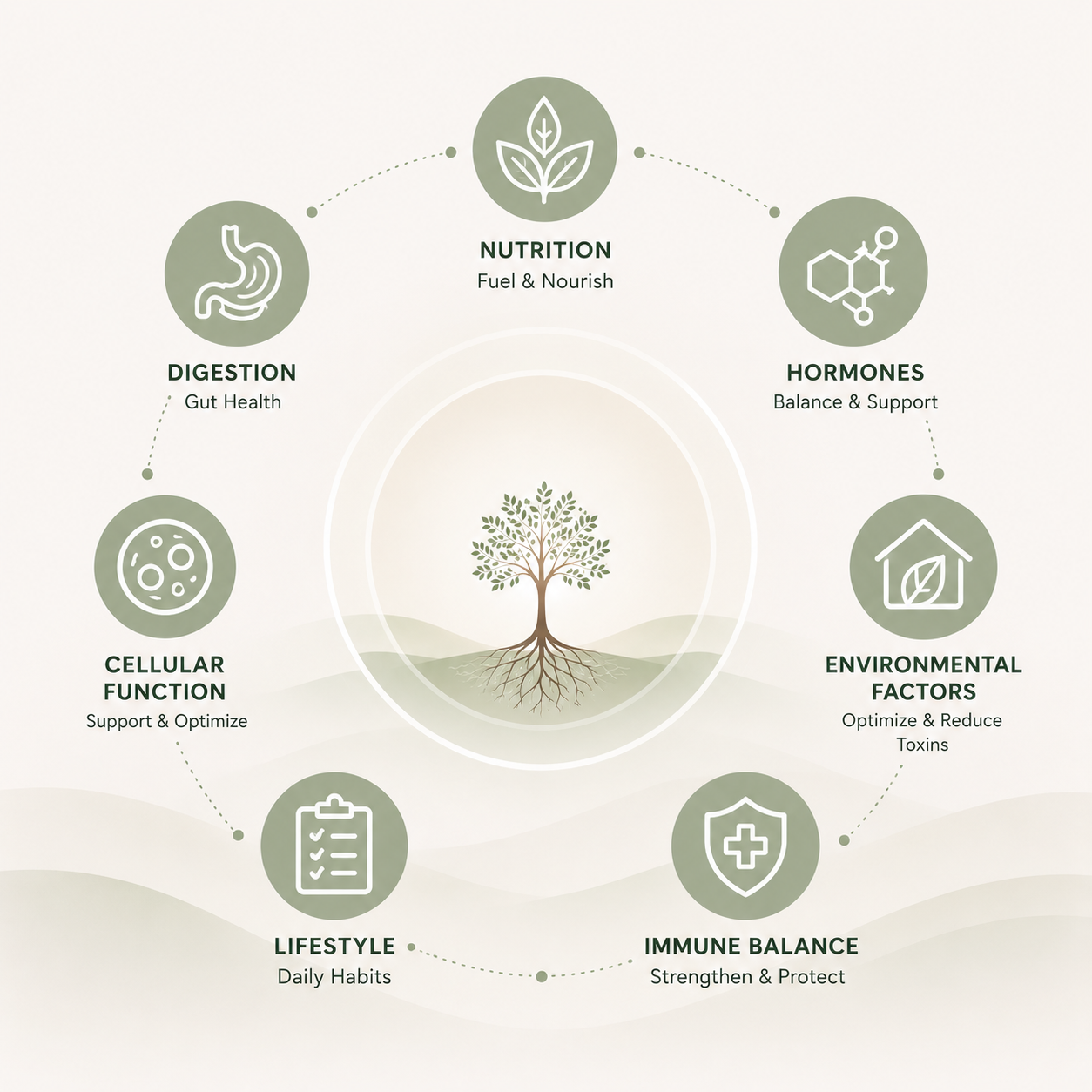 Foundations of functional health: nutrition, hormones, environmental factors, immune balance, lifestyle, cellular function, and digestion